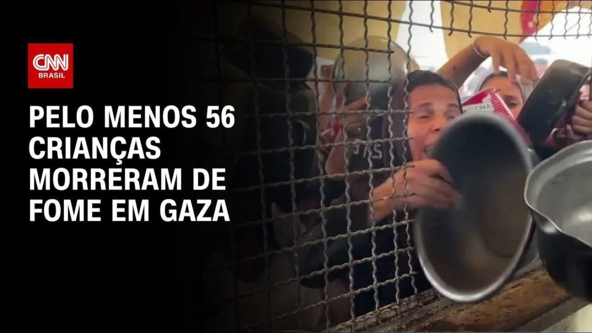 jordania-abre-corredor-aereo-para-levar-remedios-para-gaza