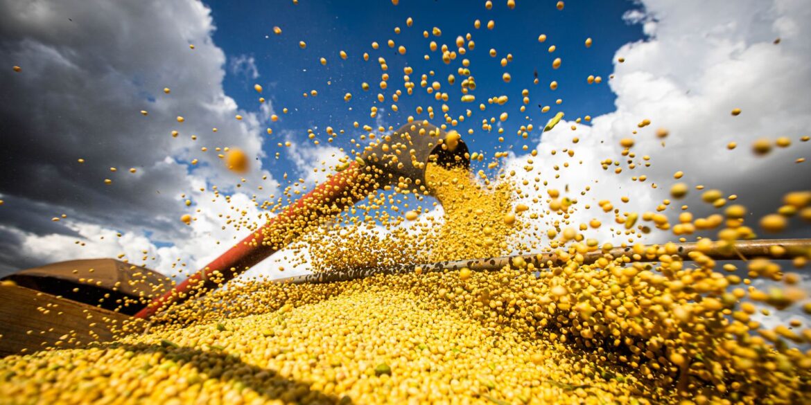 brasil-estima-colheita-de-354,8-milhoes-de-toneladas-de-graos