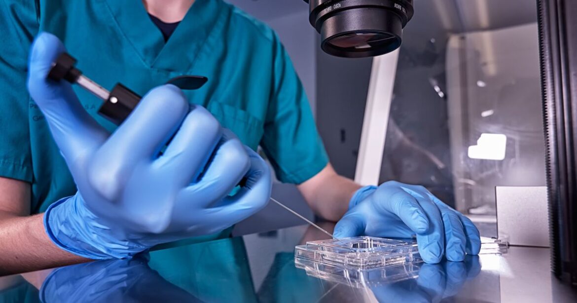 quando-a-gravidez-natural-nao-acontece:-como-fertilizacao-amplia-chances