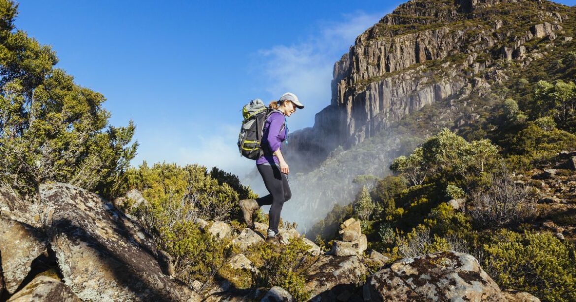 ia-cria-destino-turistico-falso-e-causa-confusao-na-tasmania