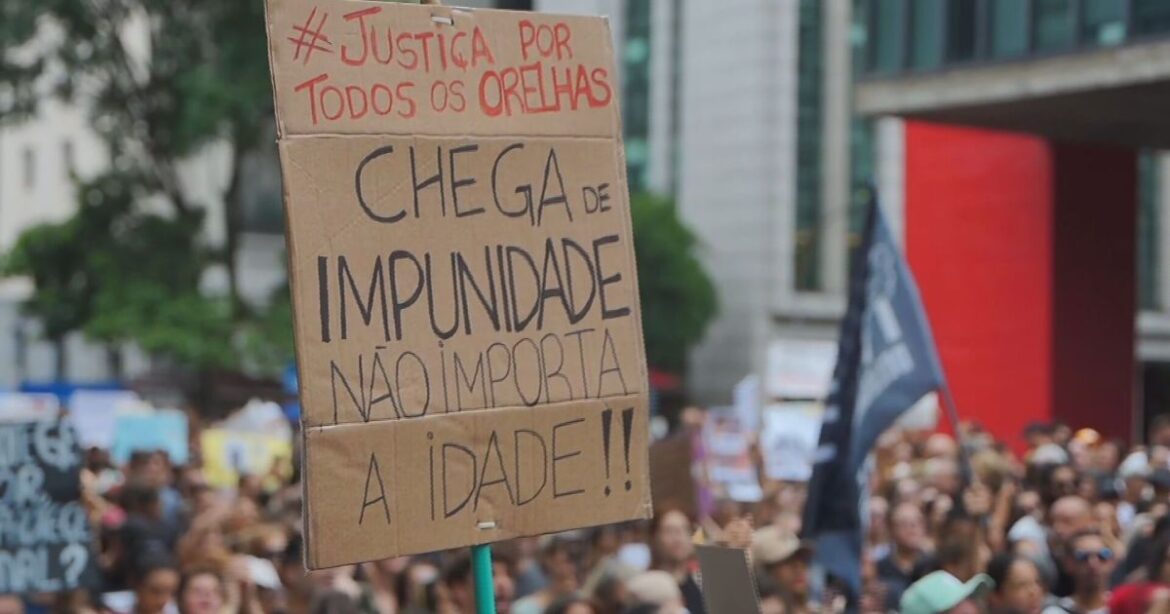 cao-orelha:-eca-nao-preve-violencia-contra-animais,-explica-especialista
