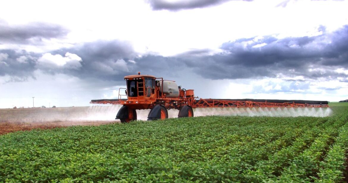 sindiveg-anuncia-nova-diretoria-para-o-trienio-2026-2029