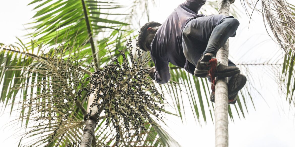 governo-investe-r$-132-milhoes-em-regularizacao-fundiaria-na-amazonia