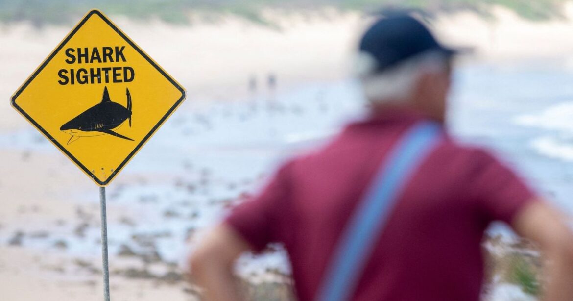 ataque-de-tubarao-deixa-um-morto-na-grande-barreira-de-corais-da-australia
