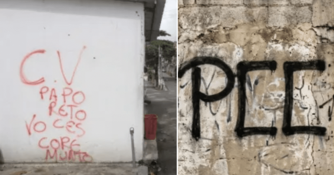 professora:-setor-financeiro-deve-ser-mais-afetado-em-decisao-sobre-faccoes