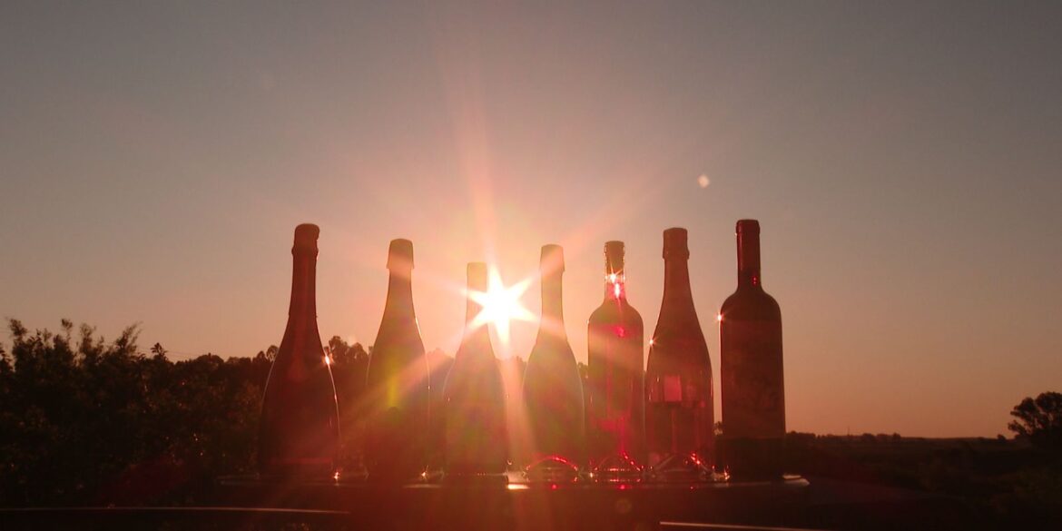 trump-ameaca-franca-com-tarifa-de-100%-sobre-vinhos-e-champanhes