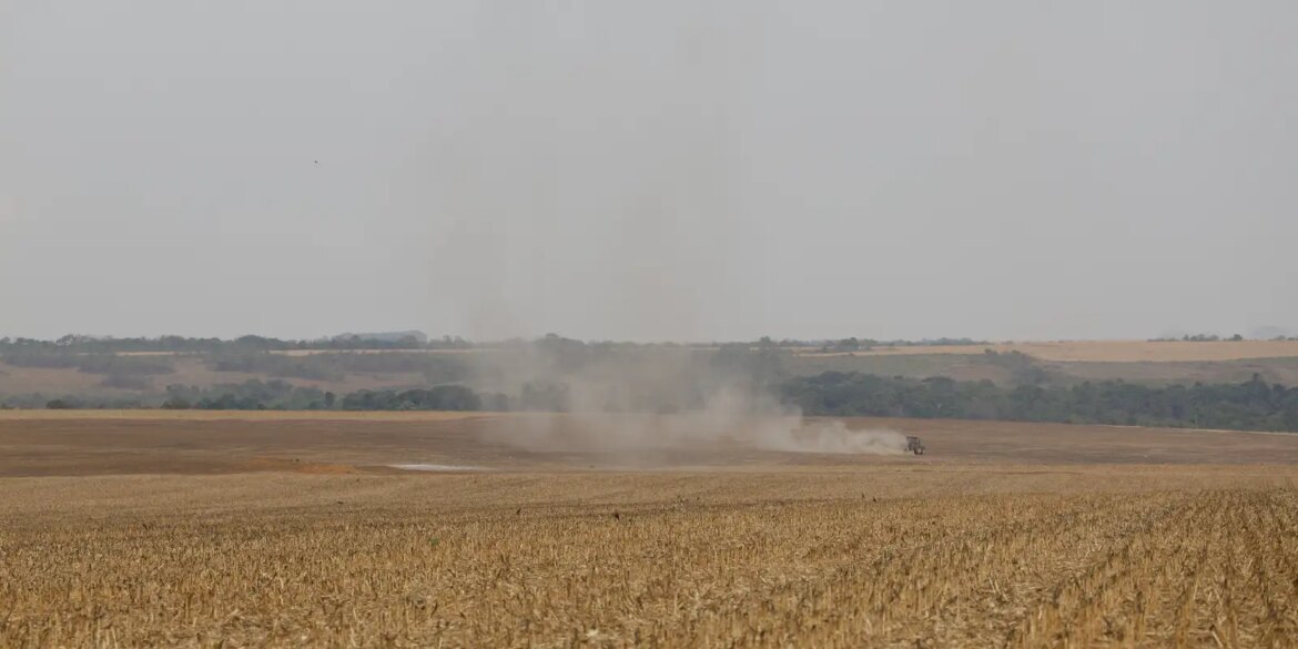 estudo-propoe-avancos-na-rastreabilidade-ambiental-da-soja-e-da-carne