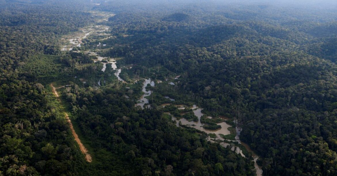 amazonia-registra-menor-nivel-de-desmatamento-desde-2016