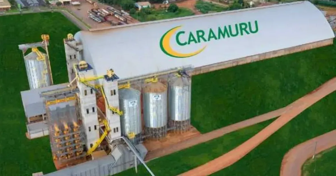 caramuru-tem-alta-de-2,8%-no-lucro-liquido-do-segundo-trimestre-de-2026